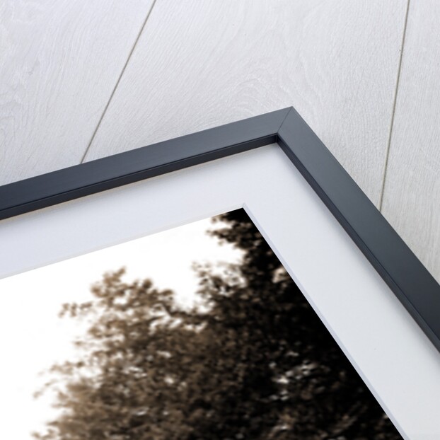 A Catskill Mountain toll gate, Toll roads by Anonymous