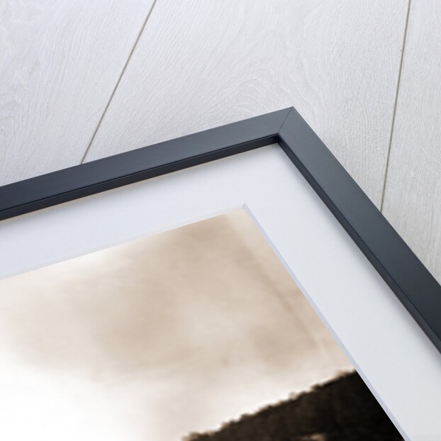 Dam and lock, Saranac River by Anonymous