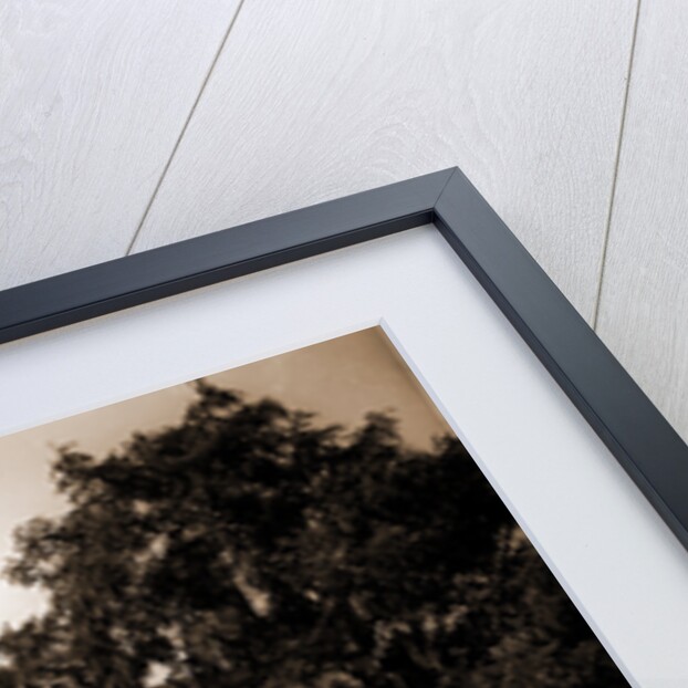 Morris- Jumel Mansion, Washington Heights by Anonymous