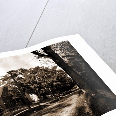 Library and street view, Pleasantville by Anonymous