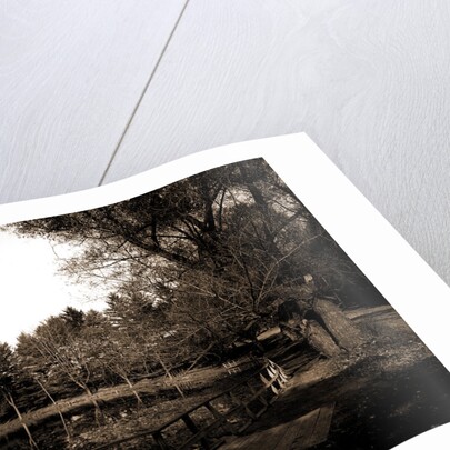The Lake, Vassar College by Anonymous