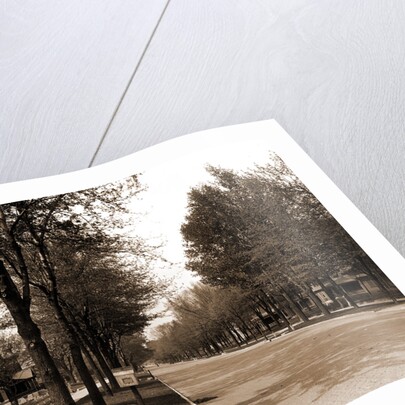 North Delaware Street, Indianapolis by Anonymous