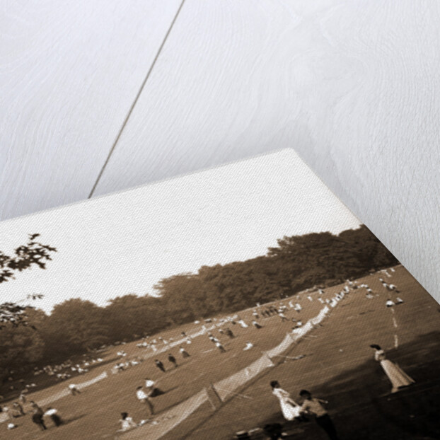 The Tennis courts, Central Park by Anonymous