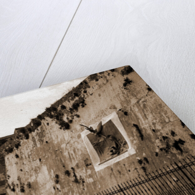 Havana, Cuba by Anonymous