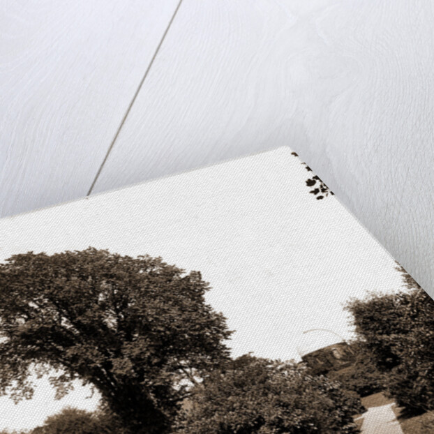 On the path to paradise, the campus by Anonymous