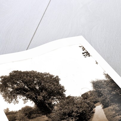 On the path to paradise, the campus by Anonymous