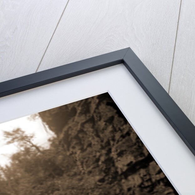 Column Rocks from below, Ausable Chasm by Anonymous