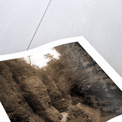 Column Rocks from below, Ausable Chasm by Anonymous