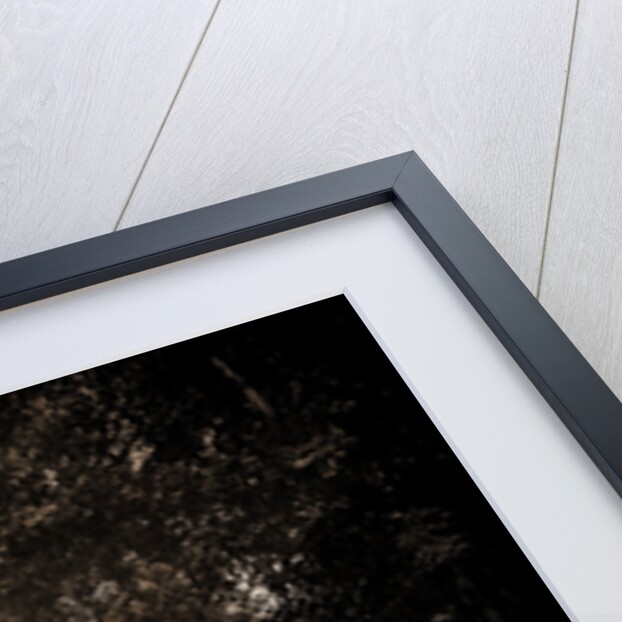 Residence and Detroit Athletic Club, Detroit by Anonymous