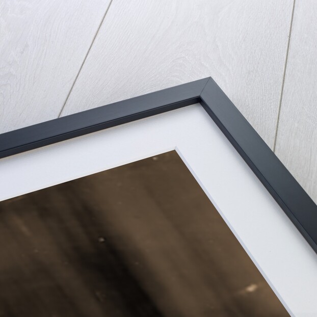 Tommy Atkins, Dogs by Anonymous