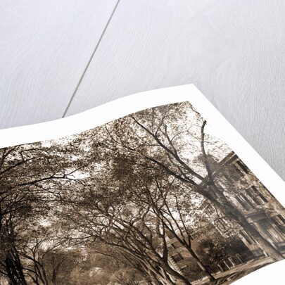 Chestnut St, Salem by Anonymous