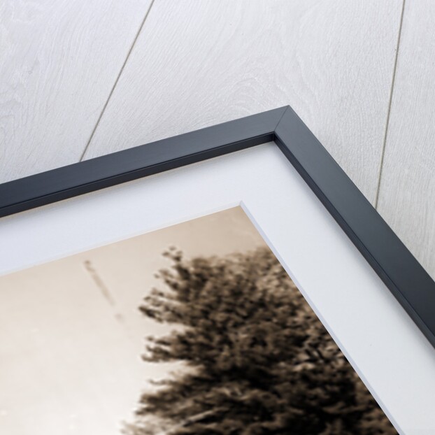 Lake Quinsigamond, Worcester by Anonymous