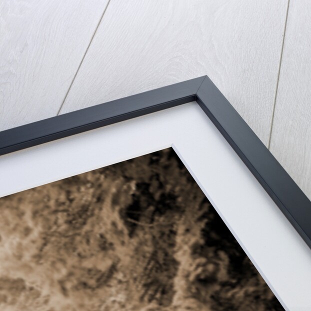 Fairy Arch, Mackinac Island by Anonymous