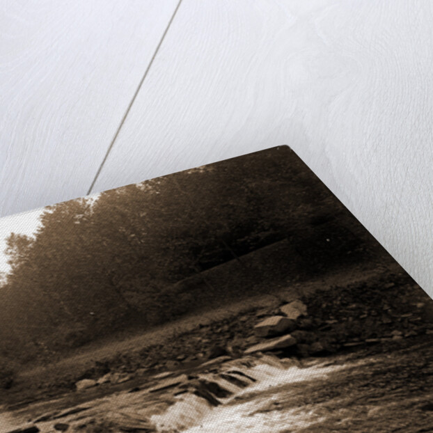 Rock Creek, Zoo park National Zoological Park by Anonymous