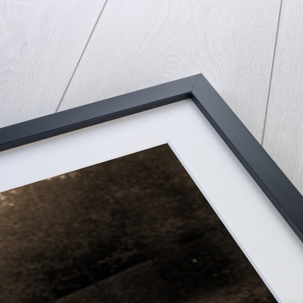 Rock Creek, Zoo park National Zoological Park by Anonymous