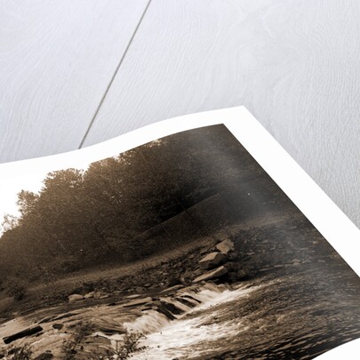 Rock Creek, Zoo park National Zoological Park by Anonymous