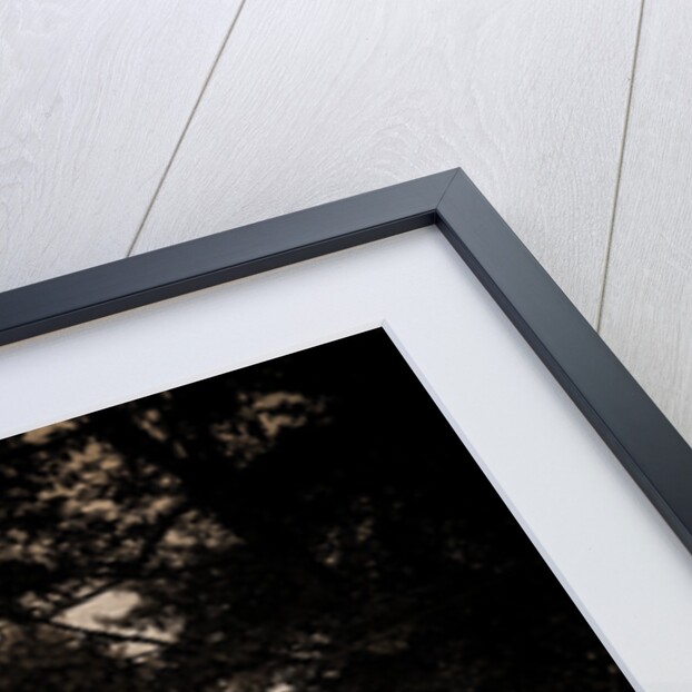 Beebe House, Put-in-Bay by Anonymous