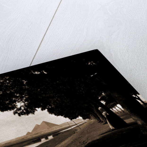 Pyramids, Canals by Anonymous