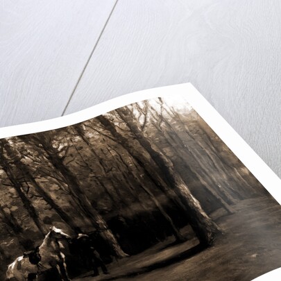 Pine woods by Anonymous