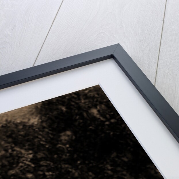 Lake Michigan, October by Anonymous