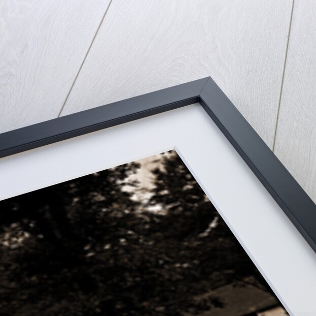 Sapphire Inn by Anonymous