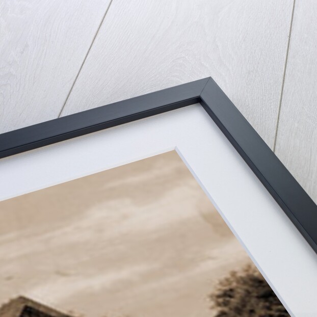 Hotel del Monte, Del Monte by William Henry Jackson