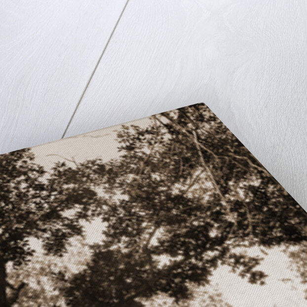 Old mill on the Potomac River, Maryland by William Henry Jackson