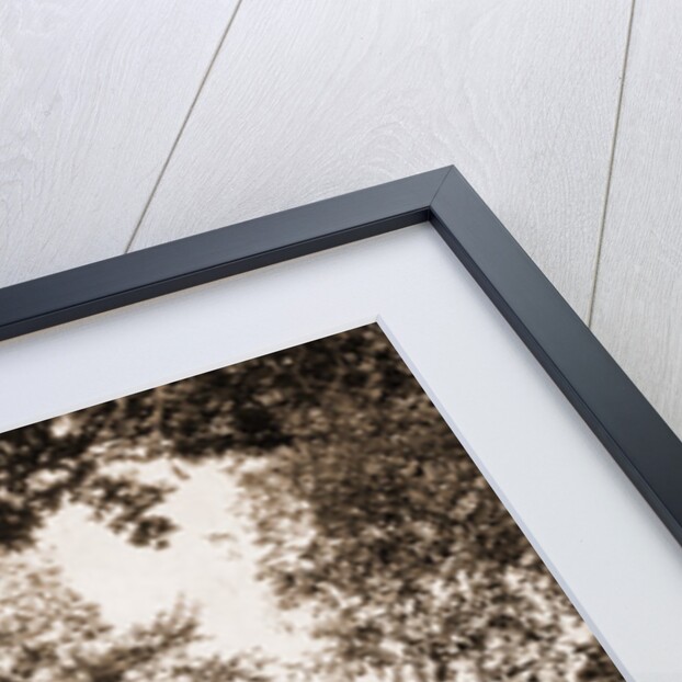 Old mill on the Potomac River, Maryland by William Henry Jackson