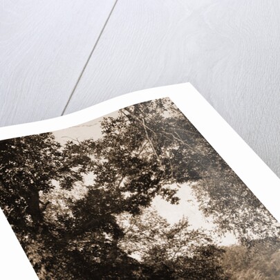 Old mill on the Potomac River, Maryland by William Henry Jackson