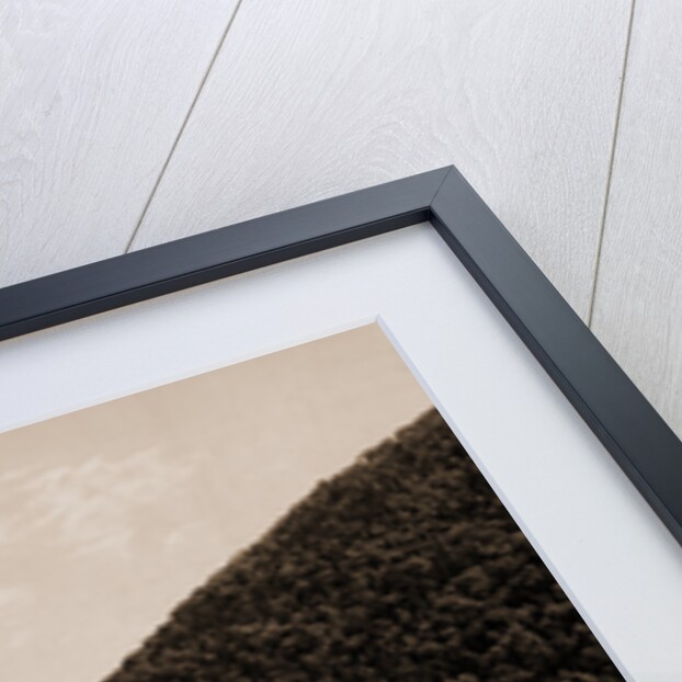 Delaware Water Gap, above the Gap from Winona Cliff, Pa by William Henry Jackson