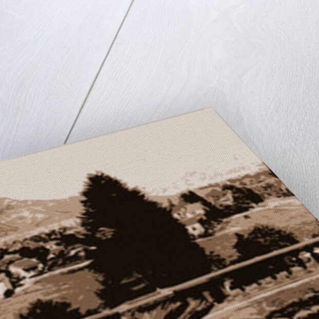 Pasadena, California by William Henry Jackson