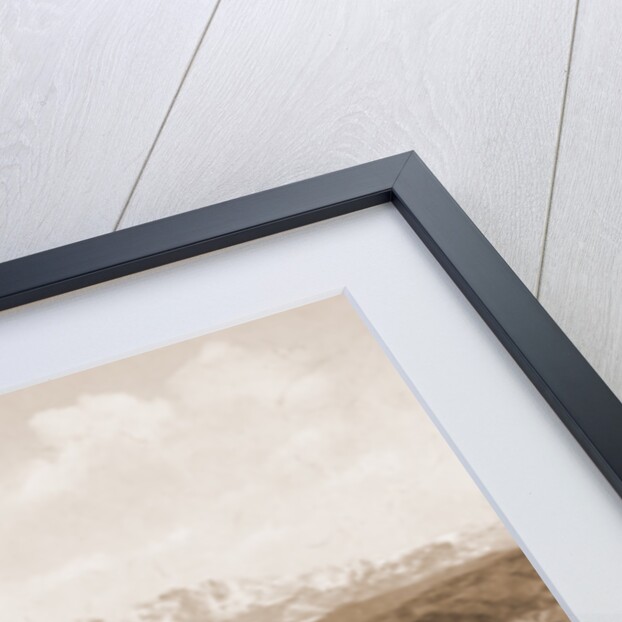 Pike's Peak, Colorado by William Henry Jackson