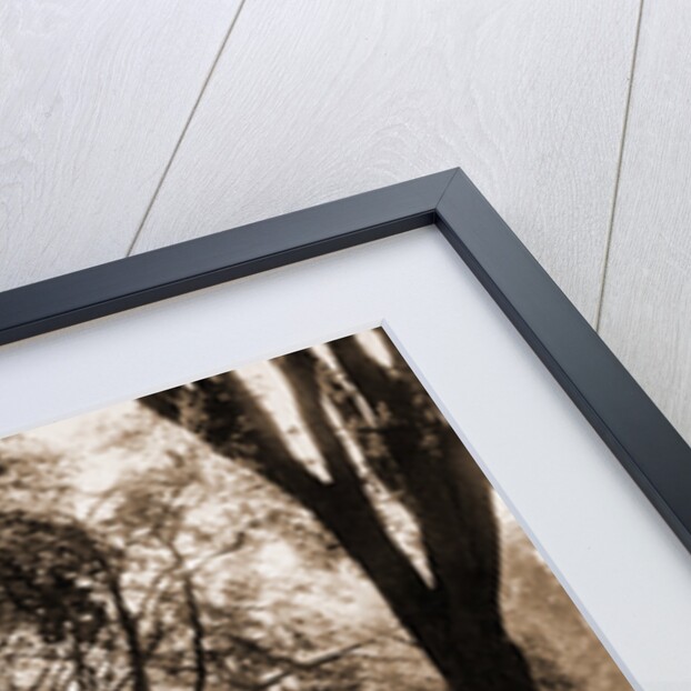 Beacon Street Mall, Boston by Anonymous