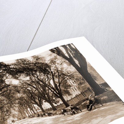 Beacon Street Mall, Boston by Anonymous