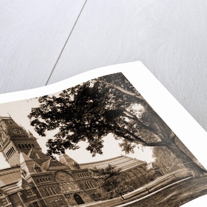 Memorial Hall, Harvard University by Anonymous