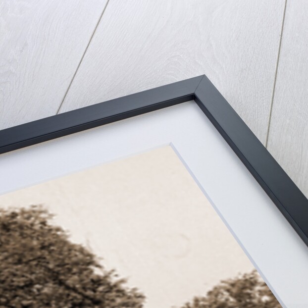 The Washington Elm, Cambridge by George Washington