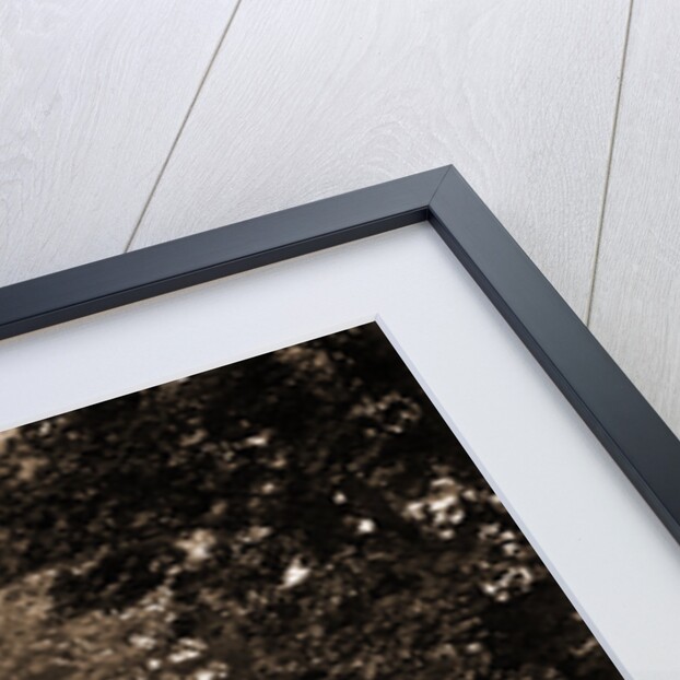 The Emerson House by Anonymous