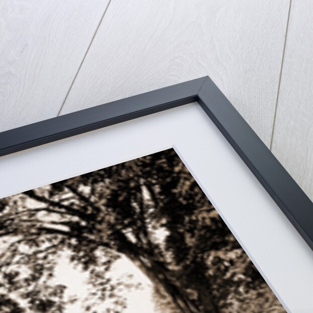 The Lowell House, Cambridge by James Russell Lowell