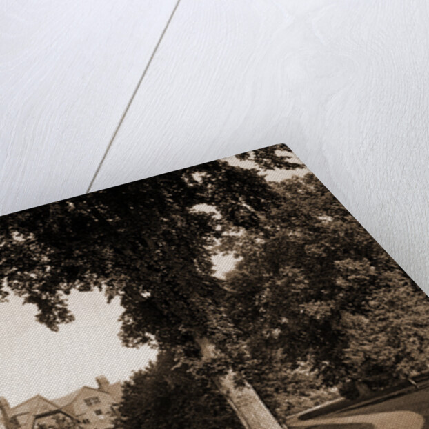 In the grounds of Smith College, Northampton by Anonymous