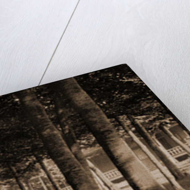 The Grove at Bay View, Michigan by Anonymous