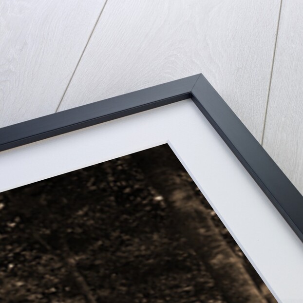 The Grove at Bay View, Michigan by Anonymous