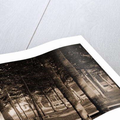 The Grove at Bay View, Michigan by Anonymous