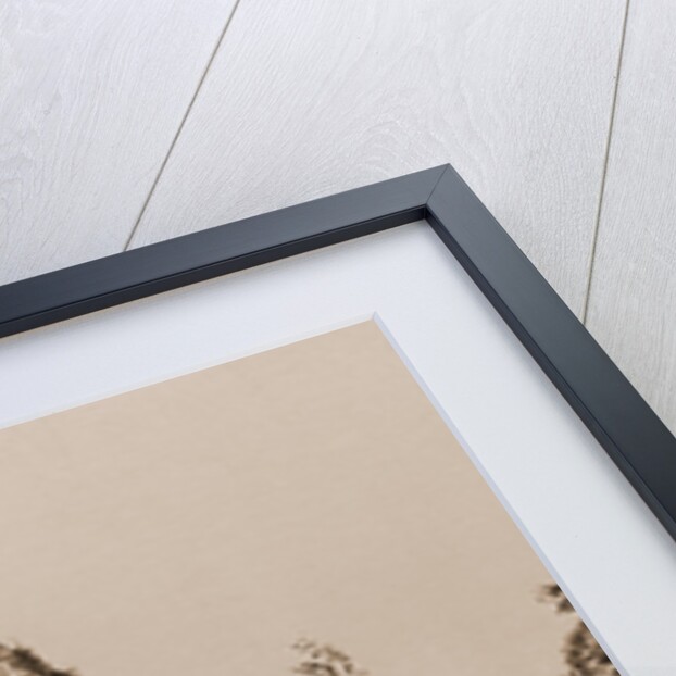 Sugar Loaf Rock, Mackinac Island by Anonymous