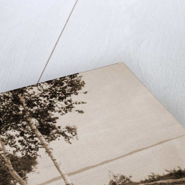 The Walk at We-Que-Ton-Sing, Michigan by Anonymous