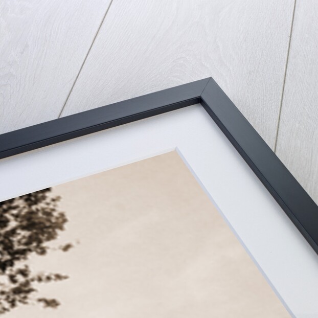 The Walk at We-Que-Ton-Sing, Michigan by Anonymous