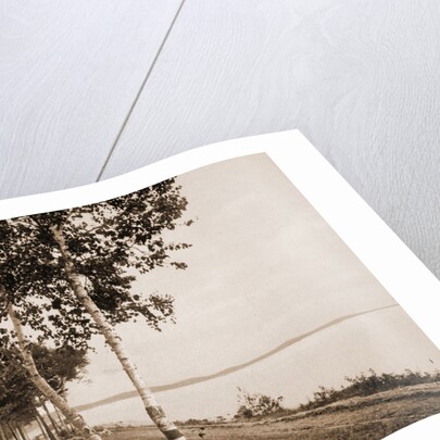 The Walk at We-Que-Ton-Sing, Michigan by Anonymous