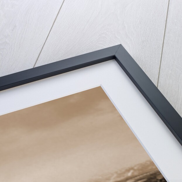 St. Paul, Minnesota by Anonymous