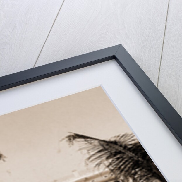 Palacio del Gobierno General, Habana by William Henry Jackson