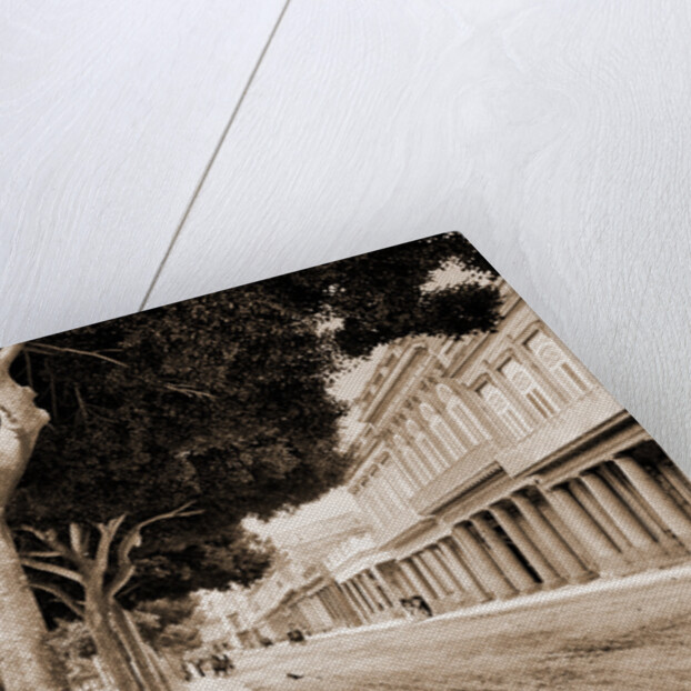 Paseo del Prado by William Henry Jackson