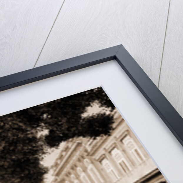 Paseo del Prado by William Henry Jackson